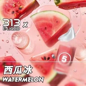 Airscream艾爾斯凱姆電子煙AIRSPOPS 313小煙油-05西瓜冰