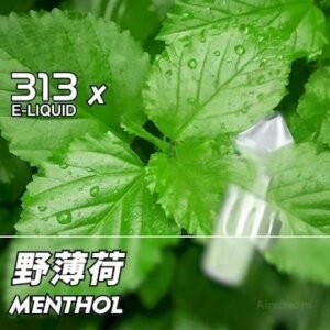 Airscream艾爾斯凱姆電子煙AIRSPOPS 313小煙油-11野薄荷