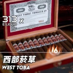 Airscream艾爾斯凱姆電子煙AIRSPOPS 313小煙油-18焦糖煙草