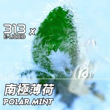 Airscream艾爾斯凱姆電子煙AIRSPOPS 313小煙油-19極地薄荷