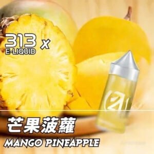 Airscream艾爾斯凱姆電子煙AIRSPOPS 313小煙油-21鳳梨芒果