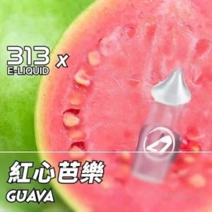 Airscream艾爾斯凱姆電子煙AIRSPOPS 313小煙油-27紅心芭樂