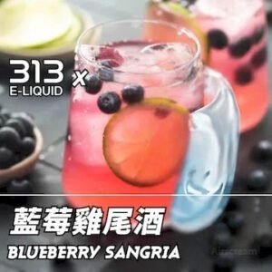 Airscream艾爾斯凱姆電子煙AIRSPOPS 313小煙油-29藍莓