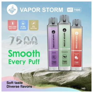 VAPOR STORM風暴辣妹電子煙可充電一次性拋棄式7500口